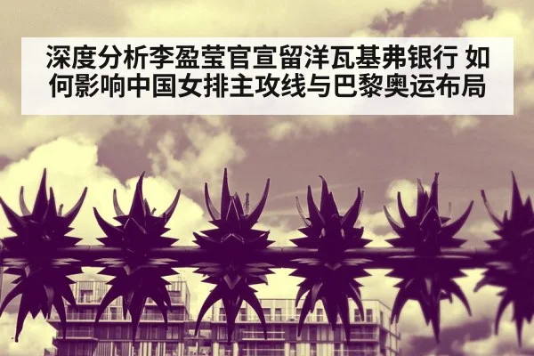 深度分析李盈莹官宣留洋瓦基弗银行 如何影响中国女排主攻线与巴黎奥运布局