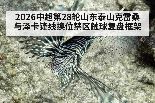 2026中超第28轮山东泰山克雷桑与泽卡锋线换位禁区触球复盘框架